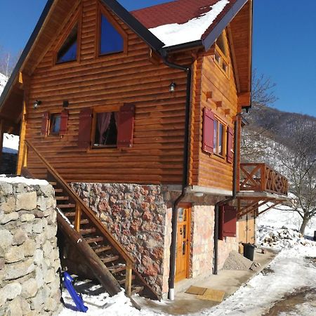 Vila Jelena Crni Vrh エクステリア 写真