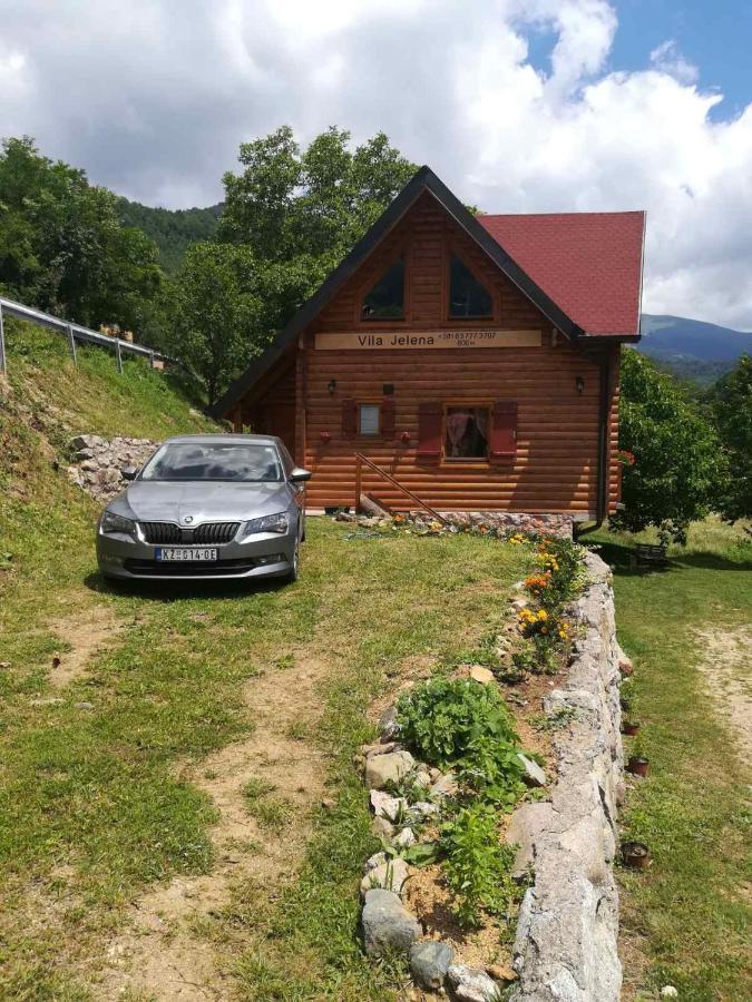 Vila Jelena Crni Vrh エクステリア 写真