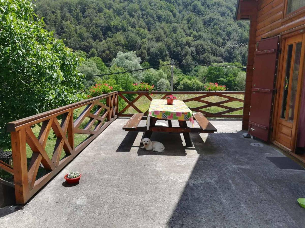 Vila Jelena Crni Vrh エクステリア 写真