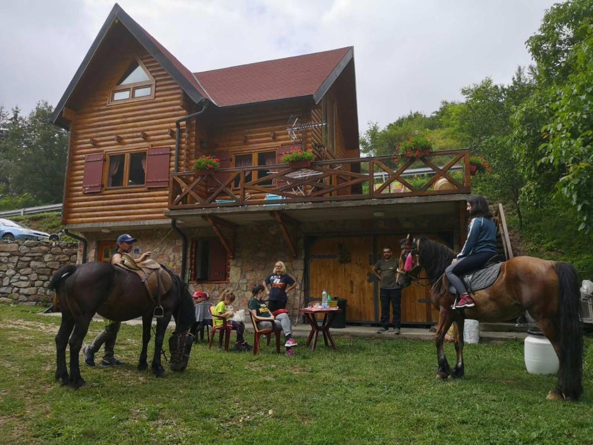 Vila Jelena Crni Vrh エクステリア 写真