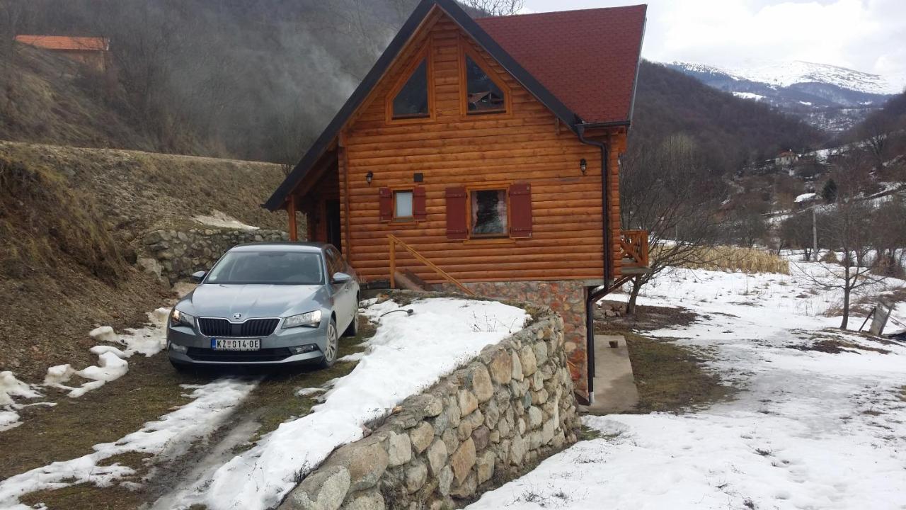 Vila Jelena Crni Vrh エクステリア 写真