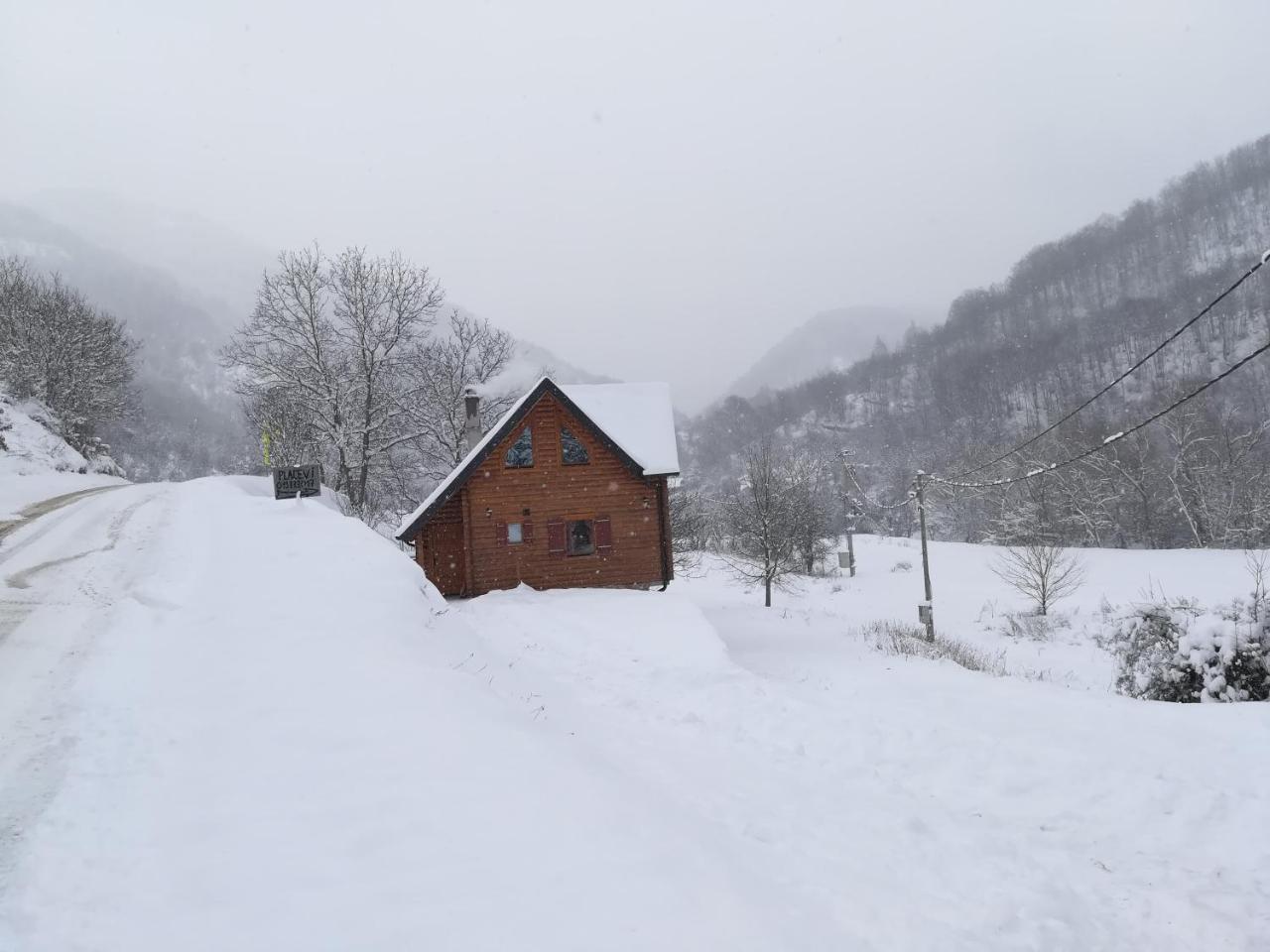Vila Jelena Crni Vrh エクステリア 写真