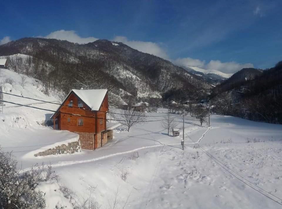Vila Jelena Crni Vrh エクステリア 写真