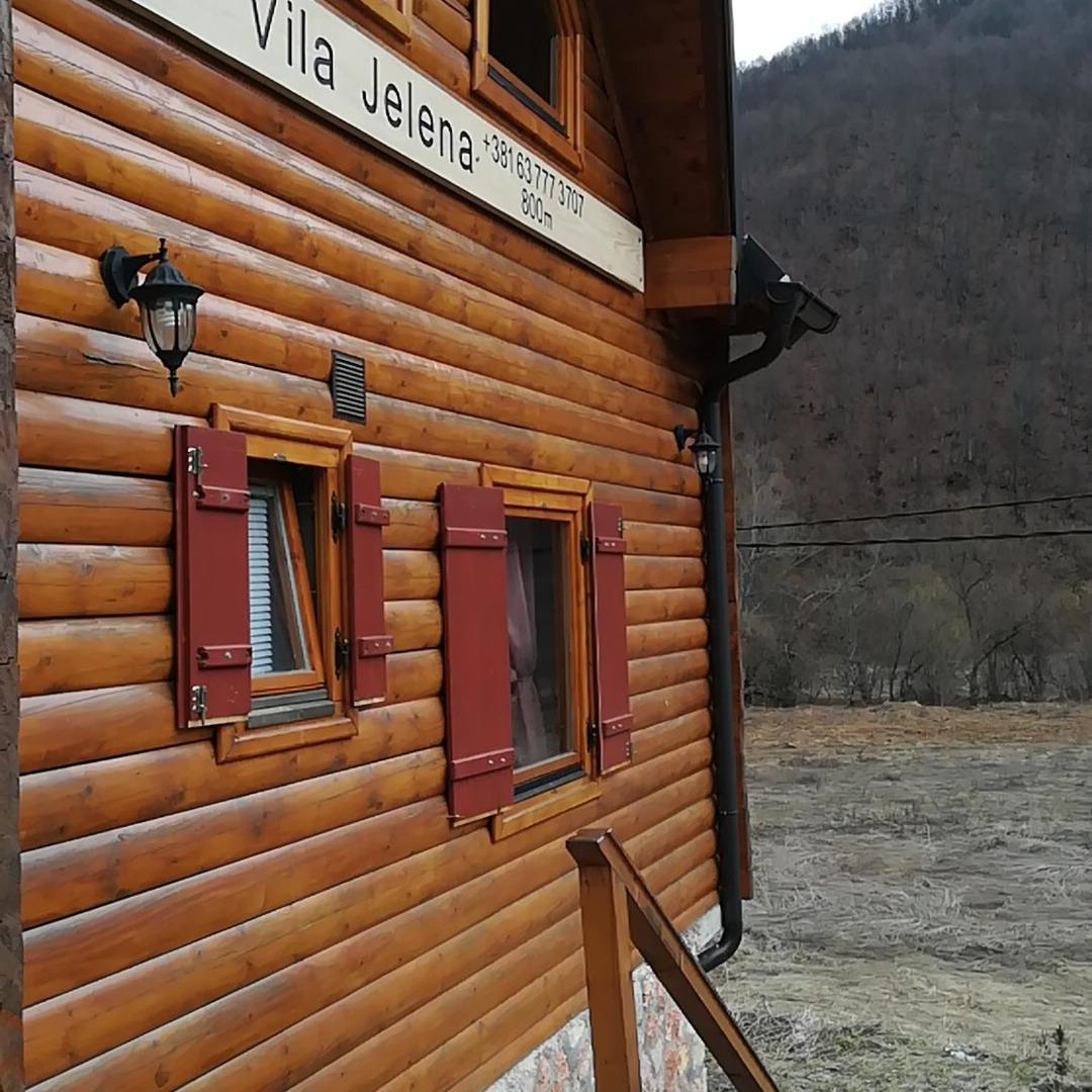 Vila Jelena Crni Vrh エクステリア 写真