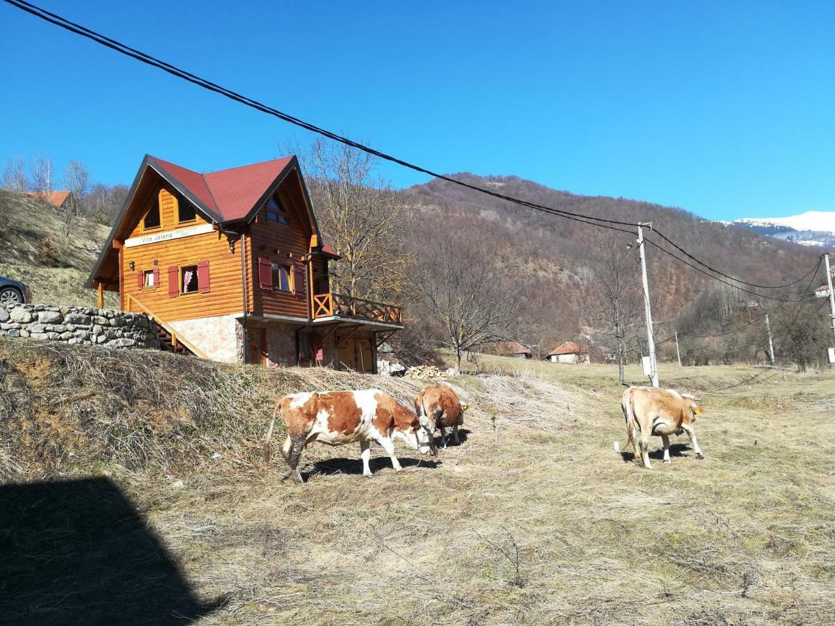 Vila Jelena Crni Vrh エクステリア 写真